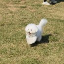 워니시티 이미지