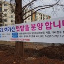 여기산 뉴스피크