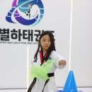 고성태권도 이미지