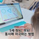 우리 아이 두뇌 공부 만들기(과목별) | 5세 두뇌발달 빨간펜 아이캔두 누리키즈 학습패드 특화수업 후기