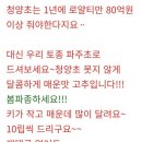 파주초등학교 이미지