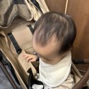 대림한숲아파트 | 천안 신부동 고기 맛집 뚱보네구공탄 천안점 숯불향 제대로인 삼겹살 맛집 (내돈내산)