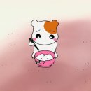 라니피트니스 이미지