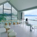 비마이아일랜드 이미지