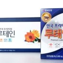 프리미엄 이미지
