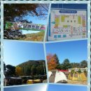 의풍분교온달캠핑장 이미지