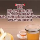 목아플때 좋은 음식 목감기 빨리 낫는법 알아봅시다 이미지