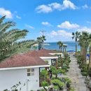 홈인제주 이미지