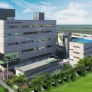 대조-009 이미지