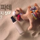 이니스프리대구 - 중구 달구벌대로 2100 | 이니스프리대구