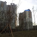 봉곡동019 이미지