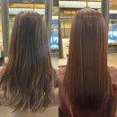 헤어로데오 | 부평역 미용실 클리닉 후기 | 보그헤어 부평로데오점