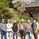 장성편백산마늘영농조합법인 - 2863 | 장성편백산마늘영농조합법인