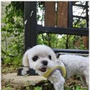 중일유치원 이미지