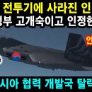 KF-21 전투기에 사라진 인니 국기 이미지