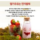 연지인력 이미지