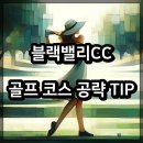 블랙밸리 컨트리클럽 | 블랙밸리CC 골프 코스 공략 TIP
