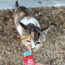 포우 파라다이스 | 26年 3月