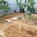 도걸농장 이미지