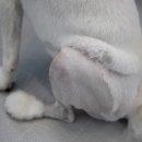 양산아이들병원 이미지