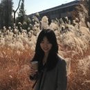 제이플붙임머리