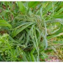 새실농장 이미지