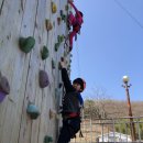 석사천무합기도 이미지