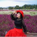 대장농원 이미지