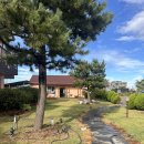 솔라티펜션 이미지