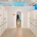 올데이PT 레이디 | 미사역헬스장 여성전용 레이디짐 그룹PT 후기 운동초보도 OK