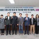 캣츠앤독