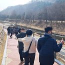 구갈레스피아 이미지