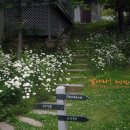 무무별장 이미지