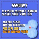 여름철 오존, 어떻게 대응해야 할까요? 이미지