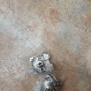 여수미평동우체국 이미지