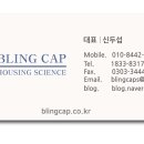 블링캡 이미지