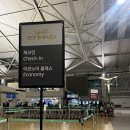 이집트 여행 에티하드 항공 EY827 EY715 EY714 EY822 이코노미 왕복 이용 후기
