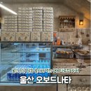 오보드나타 | 울산 남구 달동 카페 에그타르트 4종 후기 디저트 맛집추천 및 웨이팅 후기