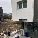 흥부찜닭X삼겹본능 이미지