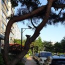 청수극동아파트(1차) 이미지