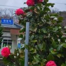 한옥달팽이민박 이미지