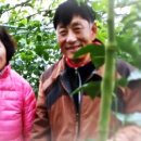 다백농장 티스토리