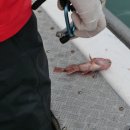 거제에서의하루 이미지