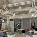 브룩스 캣 카페 이미지