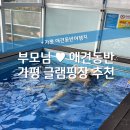 아이섬풀글램핑_가평 부모님 모시고 가기 좋은 애견동반 글램핑장 추천!