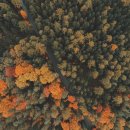 산호가스