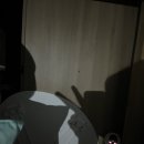 희망이 움트집 이미지