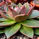 꿈의궁전 이미지