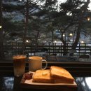 트리팜(TreeFarm)