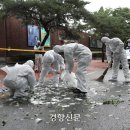 곱다 이미지